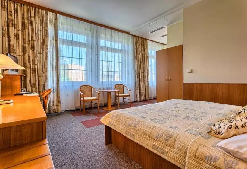 اتاق سوپریور, Wellness Hotel Babylon