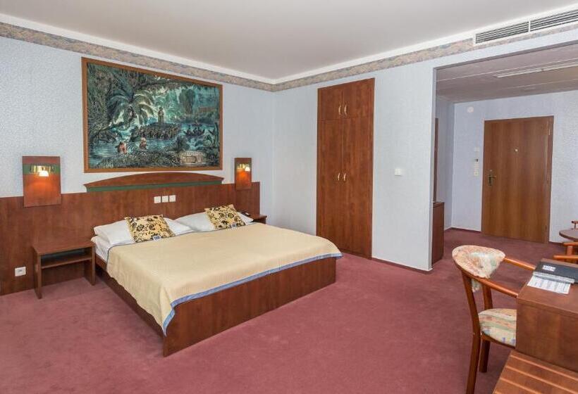 غرفة سوبيريور, Wellness Hotel Babylon