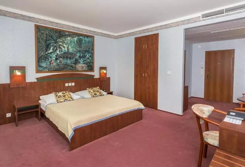 اتاق سوپریور, Wellness Hotel Babylon