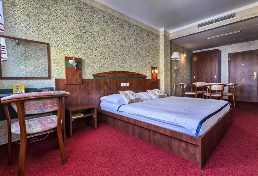 اتاق سوپریور, Wellness Hotel Babylon