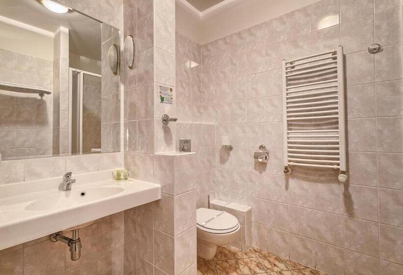 غرفة قياسية مزودة بجاكوزى, Wellness Hotel Babylon