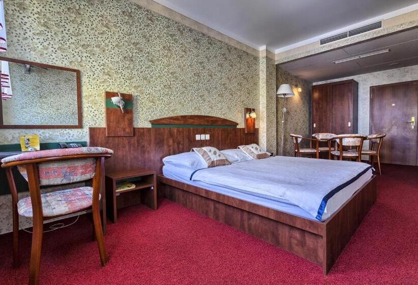 غرفة قياسية مزودة بجاكوزى, Wellness Hotel Babylon