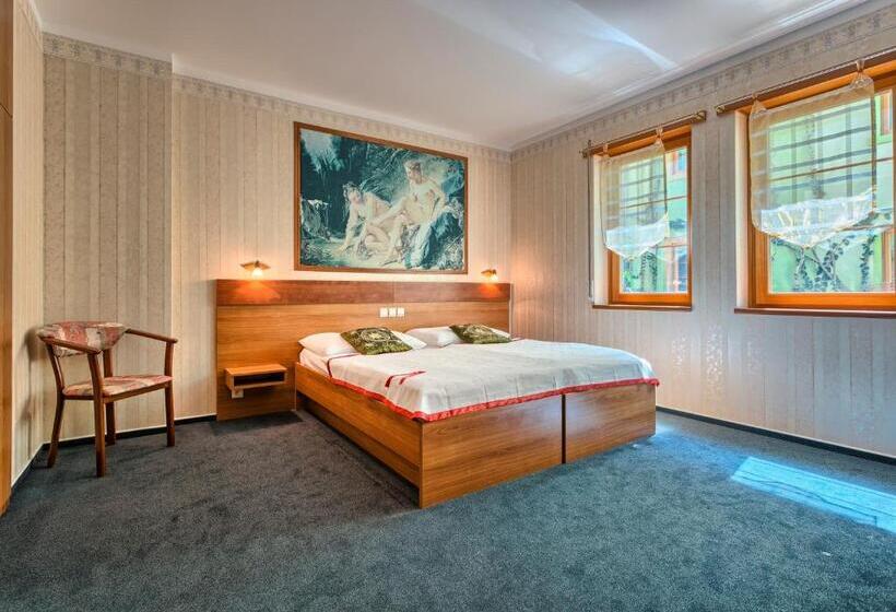 غرفة قياسية مزودة بجاكوزى, Wellness Hotel Babylon