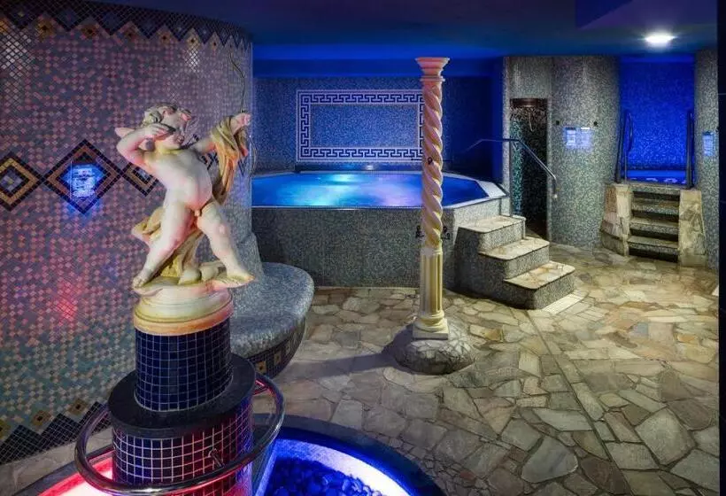 اتاق استاندارد با دسترسی به اسپا, Wellness Hotel Babylon