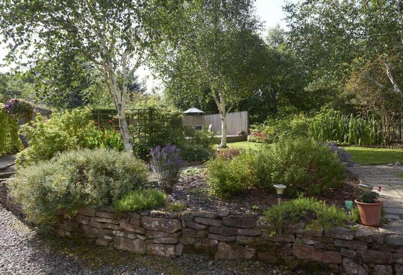 اتاق اکونومی, By The Brae