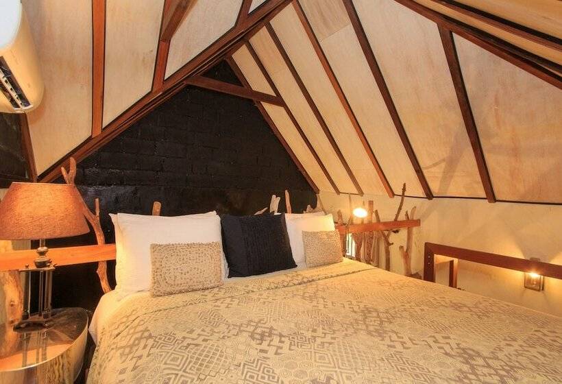 جناح, Casa Lola Deluxe Gallery