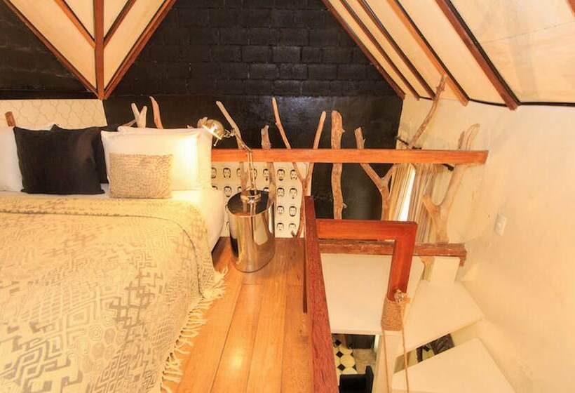 جناح, Casa Lola Deluxe Gallery