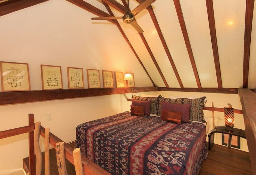 جناح, Casa Lola Deluxe Gallery