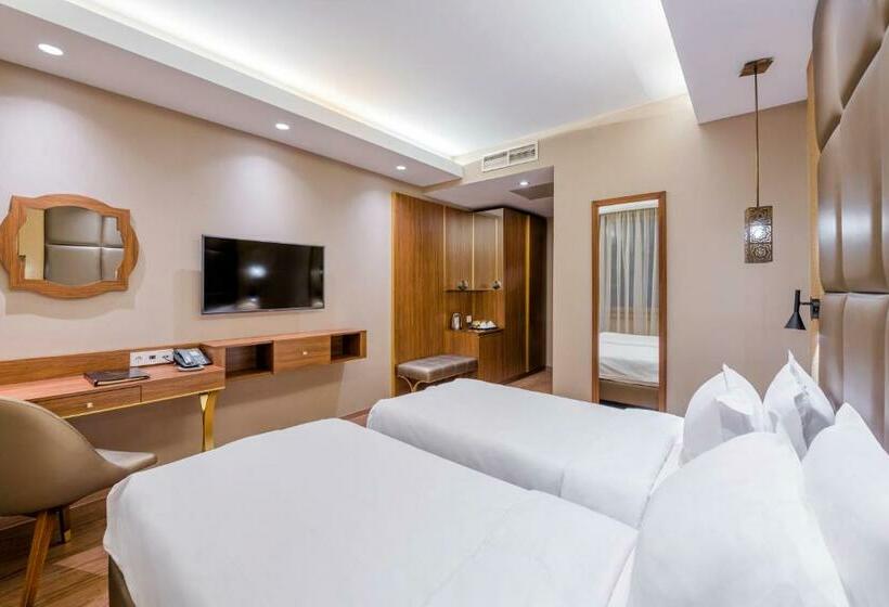 غرفة قياسية, Continental Hotel Budapest