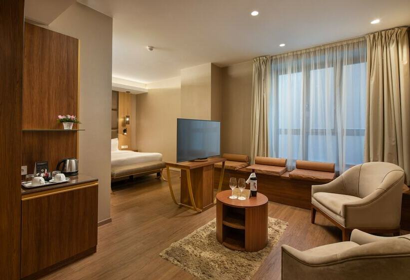 غرفة تنفيذية, Continental Hotel Budapest