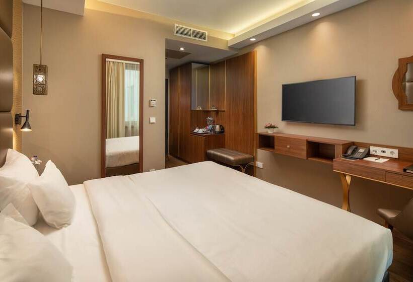 스탠다드 룸, Continental Hotel Budapest