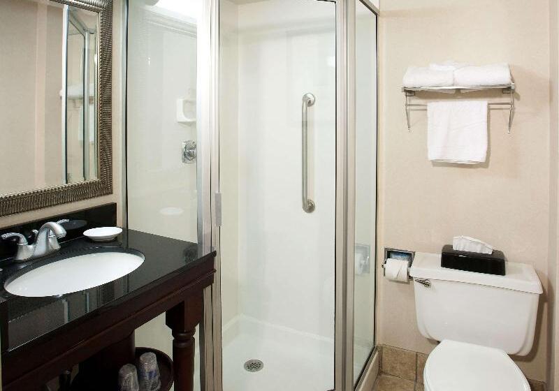 Standardzimmer, Dame Des Arts