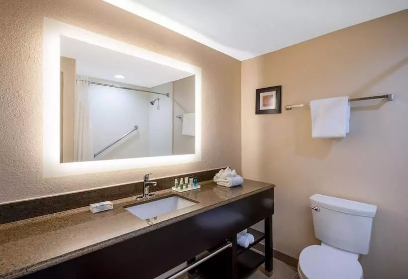 اتاق استاندارد, Holiday Inn Poughkeepsie, An Ihg