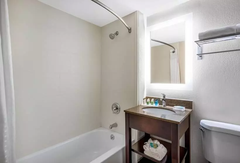 اتاق استاندارد, Holiday Inn Poughkeepsie, An Ihg