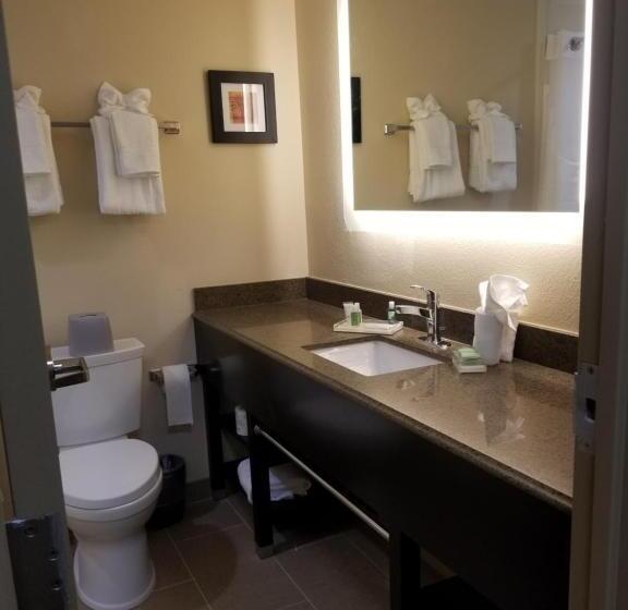 带2个卧室的套房, Holiday Inn Poughkeepsie, An Ihg