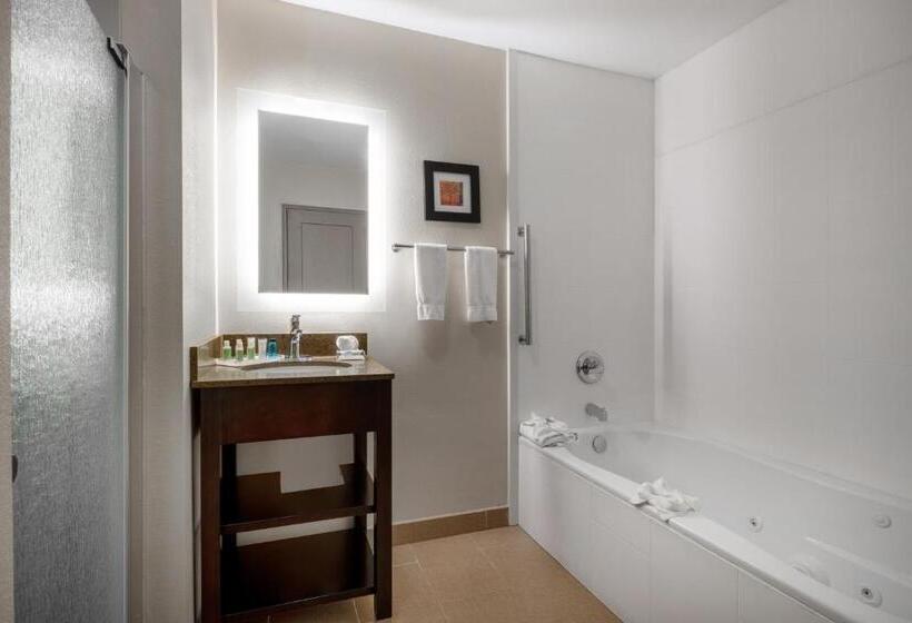 带大床的标准间, Holiday Inn Poughkeepsie, An Ihg