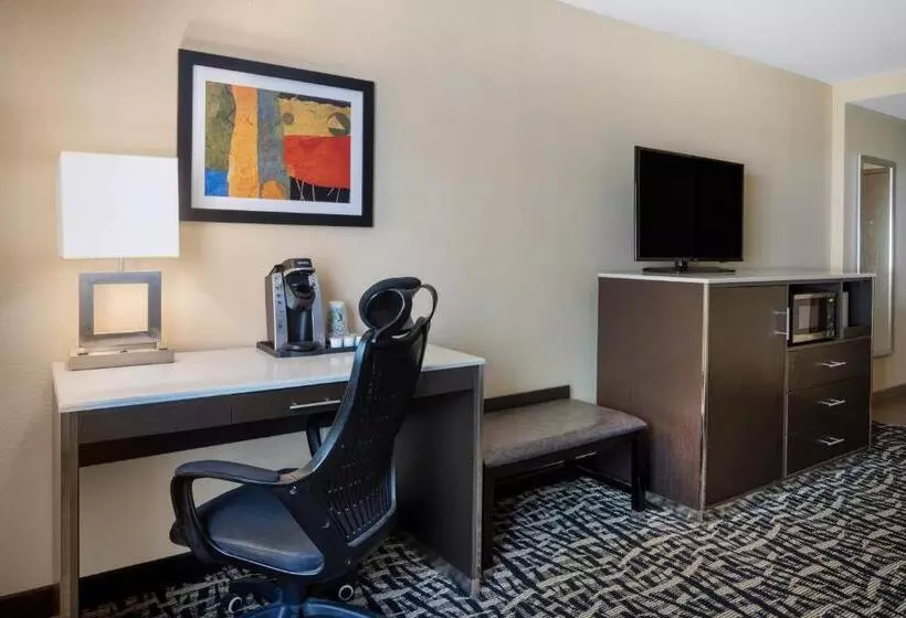 اتاق استاندارد با تخت بزرگ برای معلولان, Holiday Inn Poughkeepsie, An Ihg