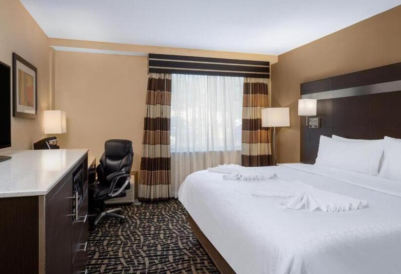 适合残疾人士使用的带超级大床的标准间, Holiday Inn Poughkeepsie, An Ihg