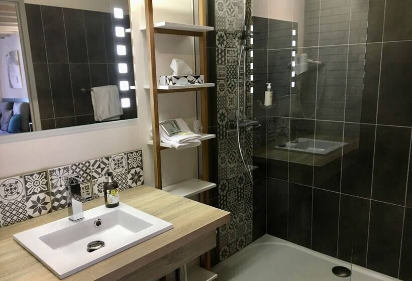 Номер Superior Одноместный, Logis Hotel Oasis