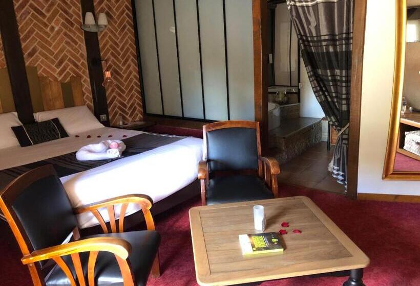 Номер Superior со СПА доступом, Logis Hotel Oasis