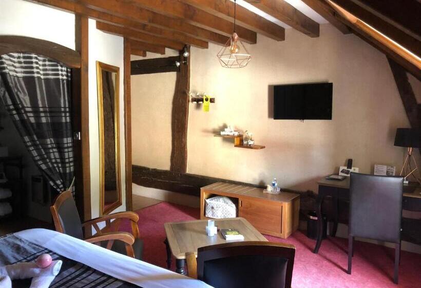 スパアクセス付きのスーペリアルーム, Logis Hotel Oasis