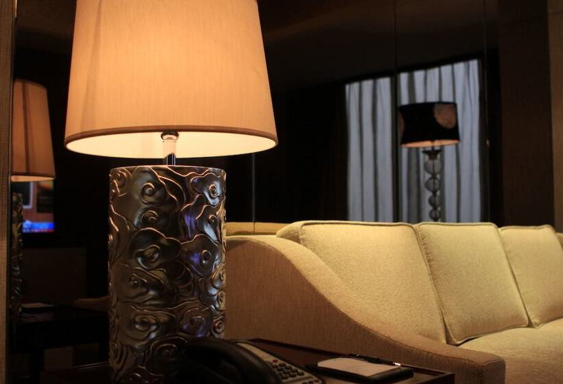 Люкс Повышенной Комфортности, Vision