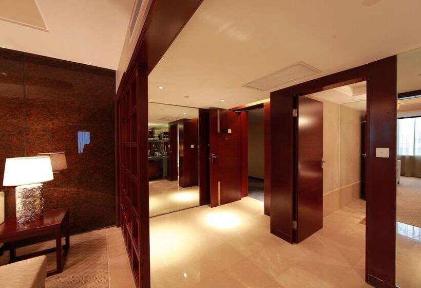 Президентский Люкс, Vision