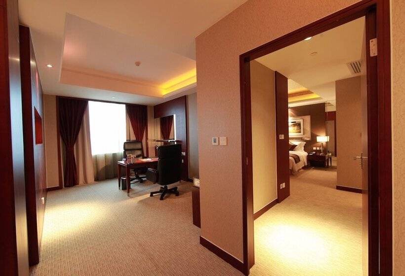 Президентский Люкс, Vision