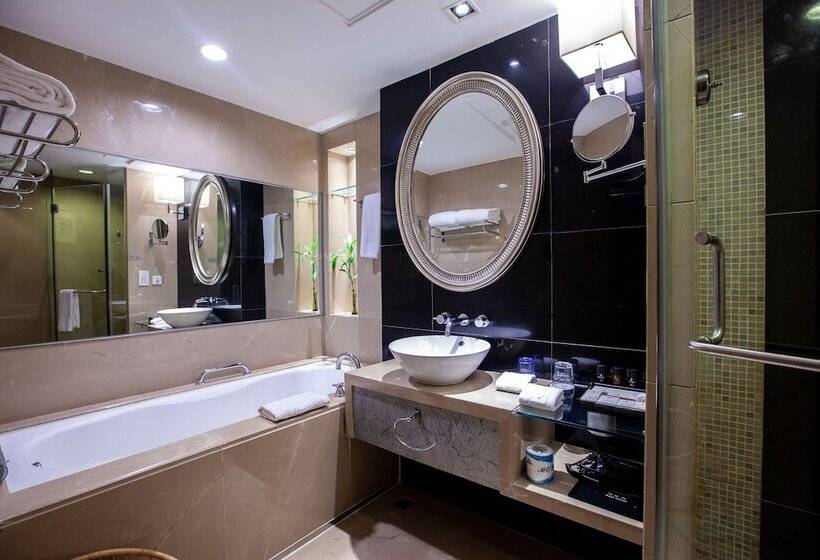 Номер Executive, Vision