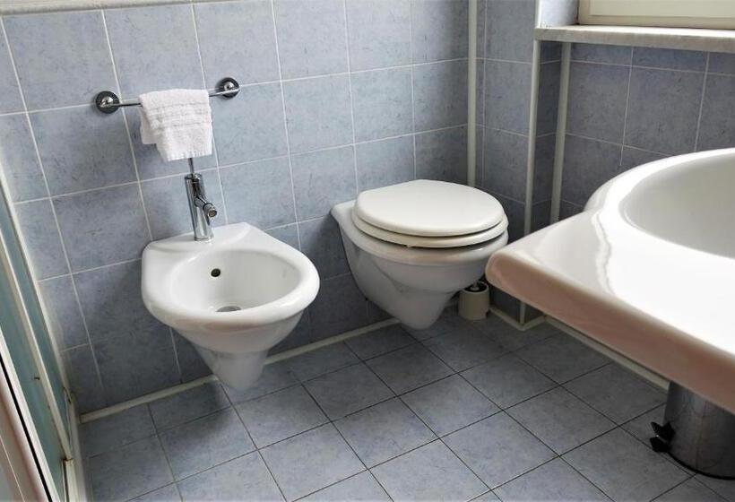 غرفة قياسية فردية, Bristol