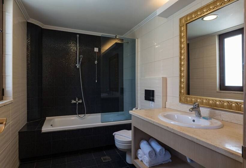 침실 1개 수피리어 아파트, Okeanis Golden Resort