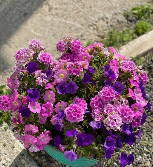 חדר סטודיו סטנדרד, Murphys Law Inn 4