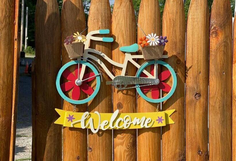 חדר סטודיו סטנדרד, Murphys Law Inn 4