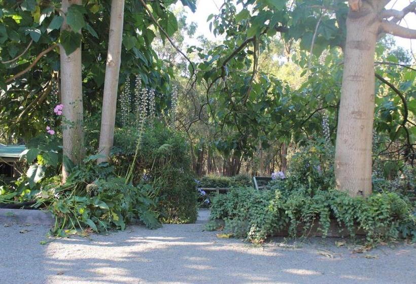 스탠다드 방갈로 침실 2개, Avoca Park Equestrian Farmstay