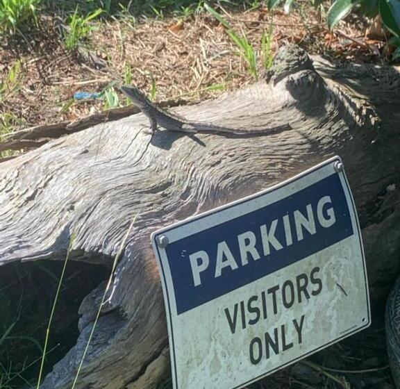 חדר סטנדרט, Ionaforest Yurt