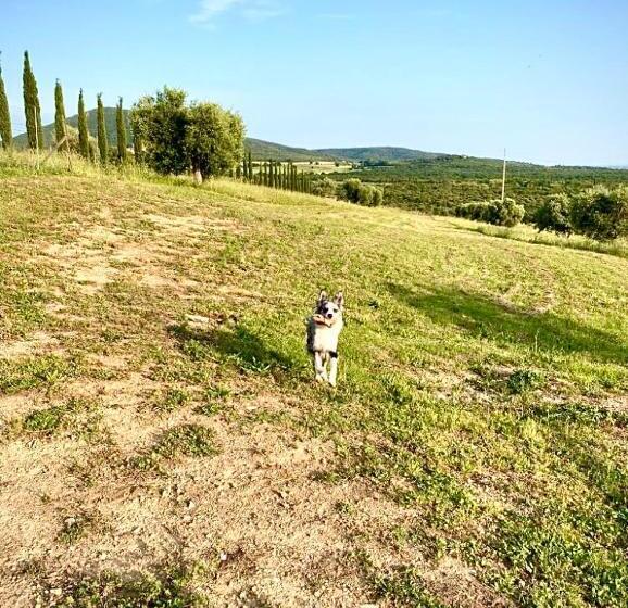 اتاق استاندارد با وان آب گرم, Agriturismo Suite Del Conte