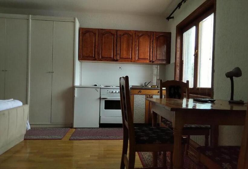 استودیو استاندارد با بالکن, Apartments And Rooms Vicko