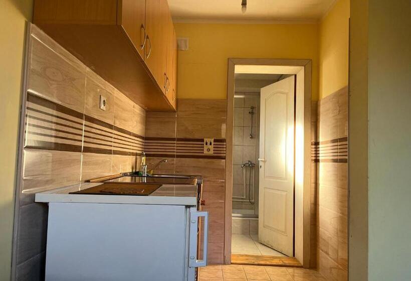 استودیو استاندارد با بالکن, Apartments And Rooms Vicko