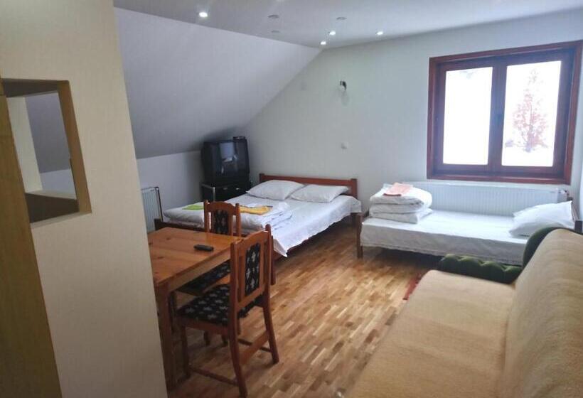 اتاق استاندارد, Apartments And Rooms Vicko