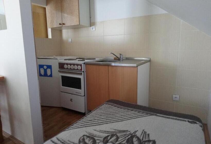 اتاق استاندارد, Apartments And Rooms Vicko