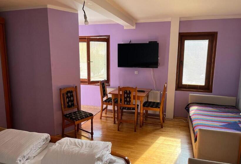 استودیوی استاندارد, Apartments And Rooms Vicko