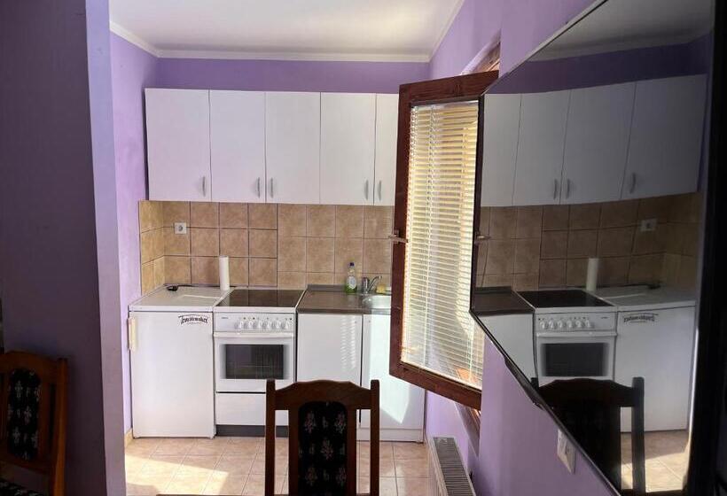 استودیوی استاندارد, Apartments And Rooms Vicko