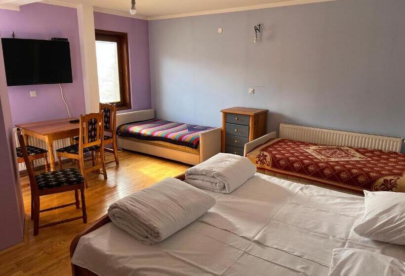 استودیوی استاندارد, Apartments And Rooms Vicko