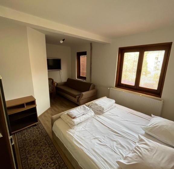 استودیوی استاندارد, Apartments And Rooms Vicko