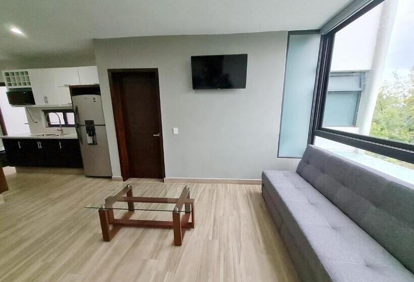 شقة ديلوكس غرفة واحدة, Casa Arandas Hotel   Suits