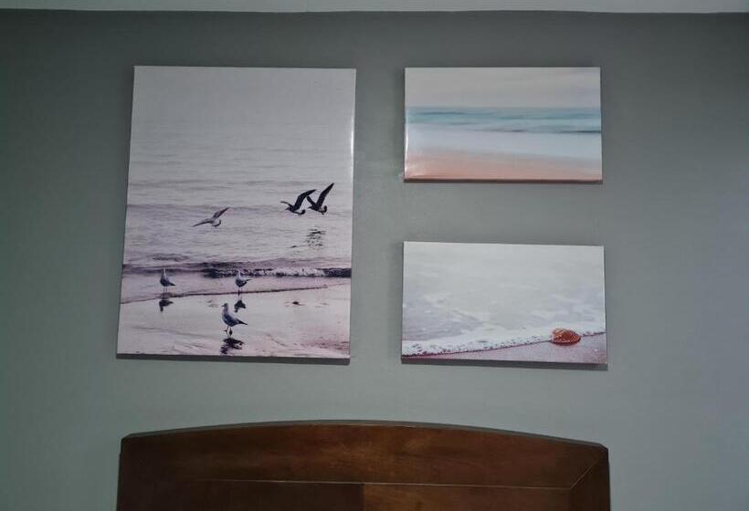 شقة ديلوكس غرفة واحدة, Casa Arandas Hotel   Suits