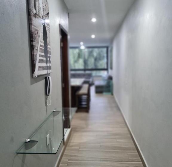 شقة ديلوكس غرفة واحدة, Casa Arandas Hotel   Suits