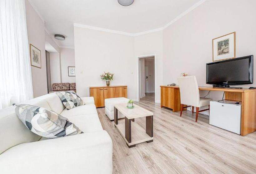 شقة ديلوكس غرفة واحدة, City