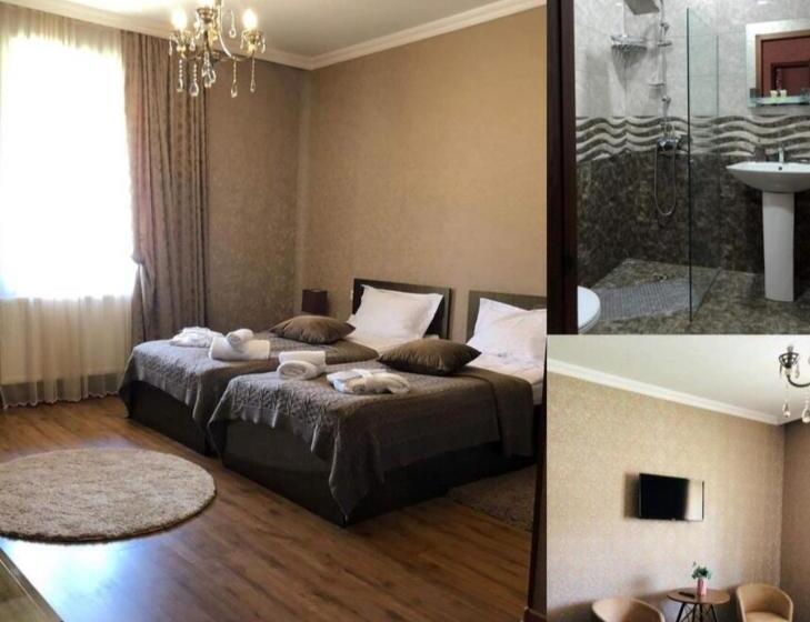 اتاق استاندارد با چشم‌انداز, Golden Star Kazbegi