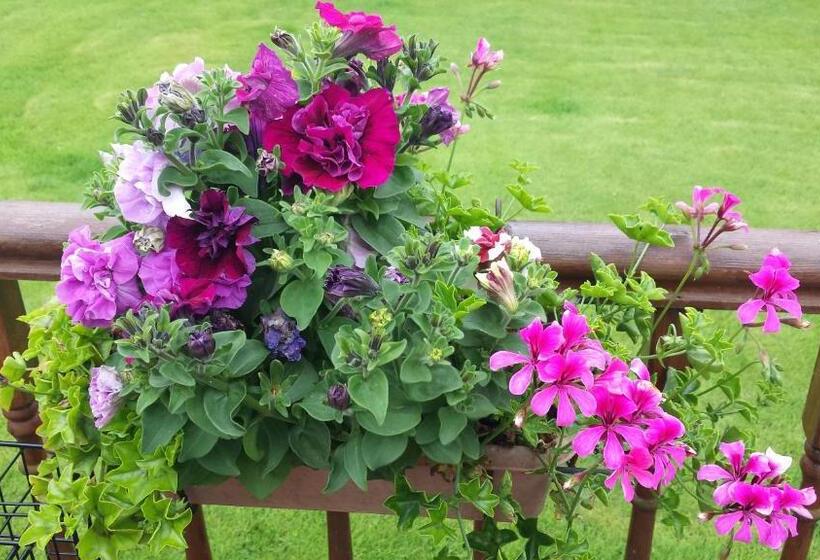 가든 전망 싱글룸, Riverwalk House B&b